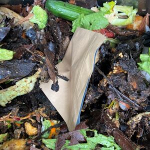 home compostable pouch